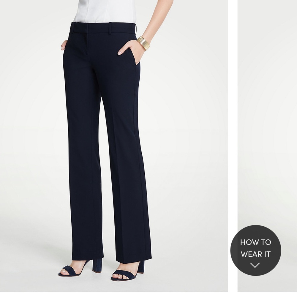Ann Taylor Navy Trousers in Curvy